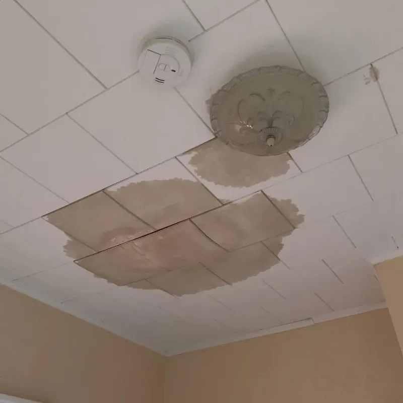 Ceiling Water Damage Repair in Jackson Parish, LA